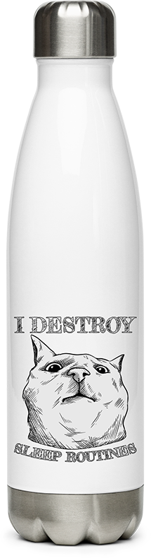 Produktbild von Edelstahlflasche I Destroy Sleep Routines Katzen-Spruch