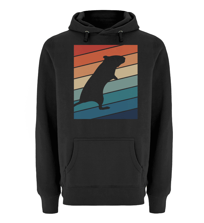 Rennmäuse | Vintage Streifen | Unisex Premium Kapuzenpullover in Schwarz in Größe S