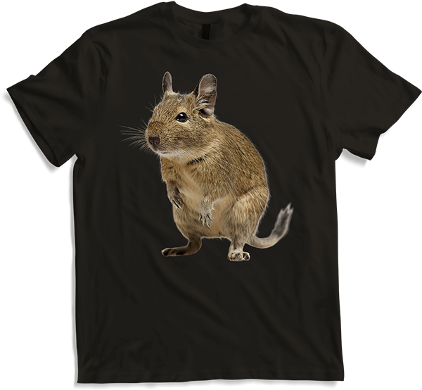 Produktbild von T-Shirt Funny Degu | Octodon Degus Zubehör Degu Spruch