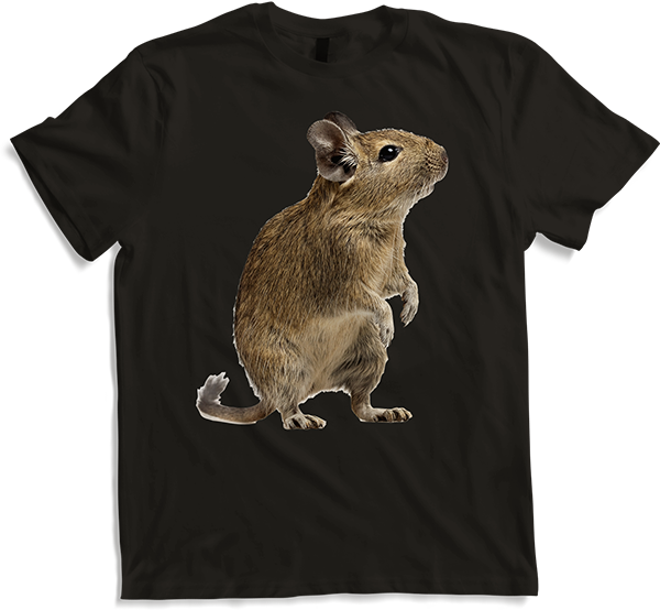 Produktbild von T-Shirt Funny Degu | Octodon Degus Zubehör Degu