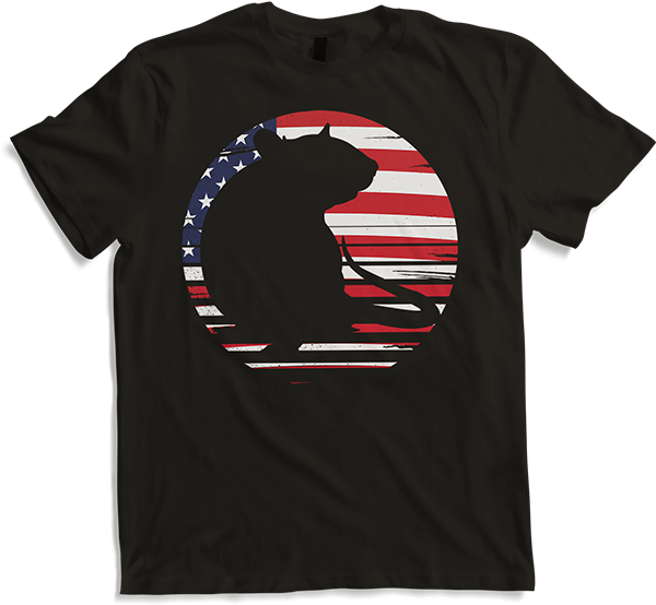 Produktbild von T-Shirt Niedliche Ratten Vintage Flagge USA Geschenk Fancy Rat Owner Retro