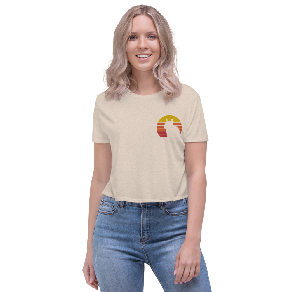 Zeigt degu vintage sonne crop top in Farbe Dunkelgrau Heather