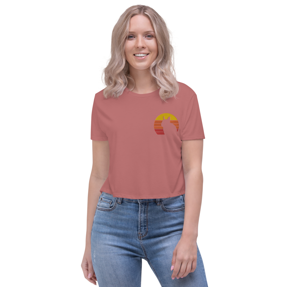Zeigt degu vintage sonne crop top in Farbe Heather Dust