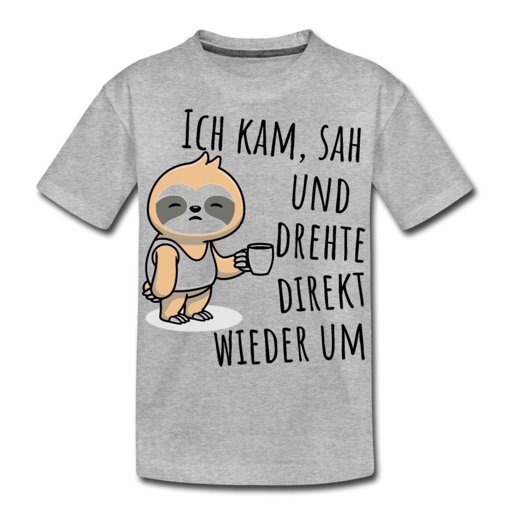Ich kam sah und drehte direkt wieder um | Teenager Premium T-Shirt - Grau meliert